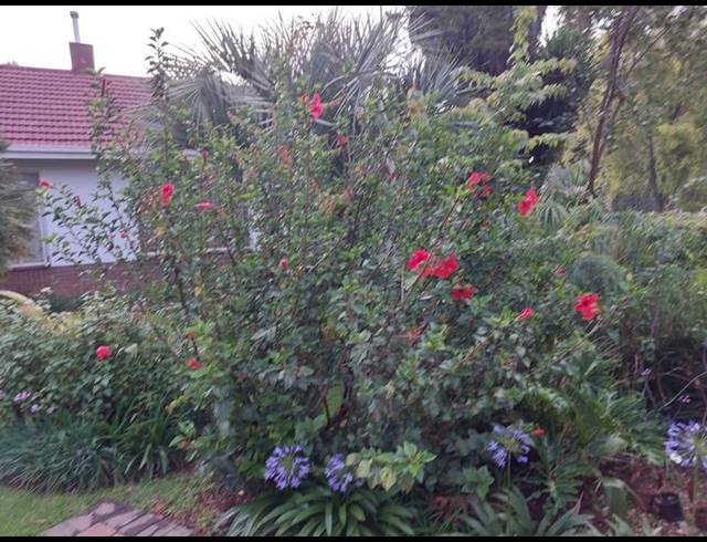 3 BEDROOM PROPERTY TO RENT IN REMBRANDT PARK